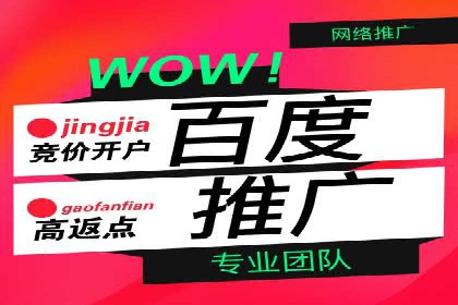 竞价广告的胜利：网络推广在金融行业的经典案例